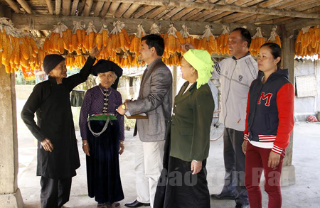 Ông Lý Kim Tiến (ngoài cùng bên trái) chia sẻ kinh nghiệm bảo quản ngô giống cùng lãnh đạo Phòng Dân tộc huyện Văn Chấn và bà con trong thôn.